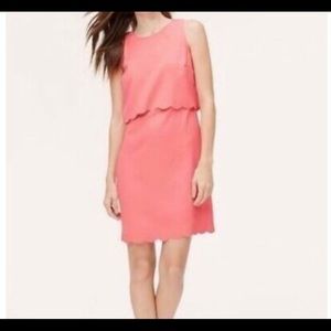 The LOFT 6P dress